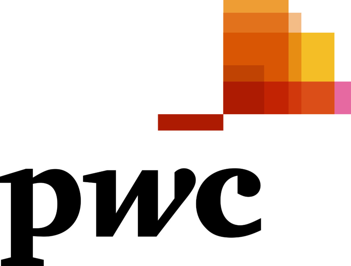 PwC_Logo-300dpi-1