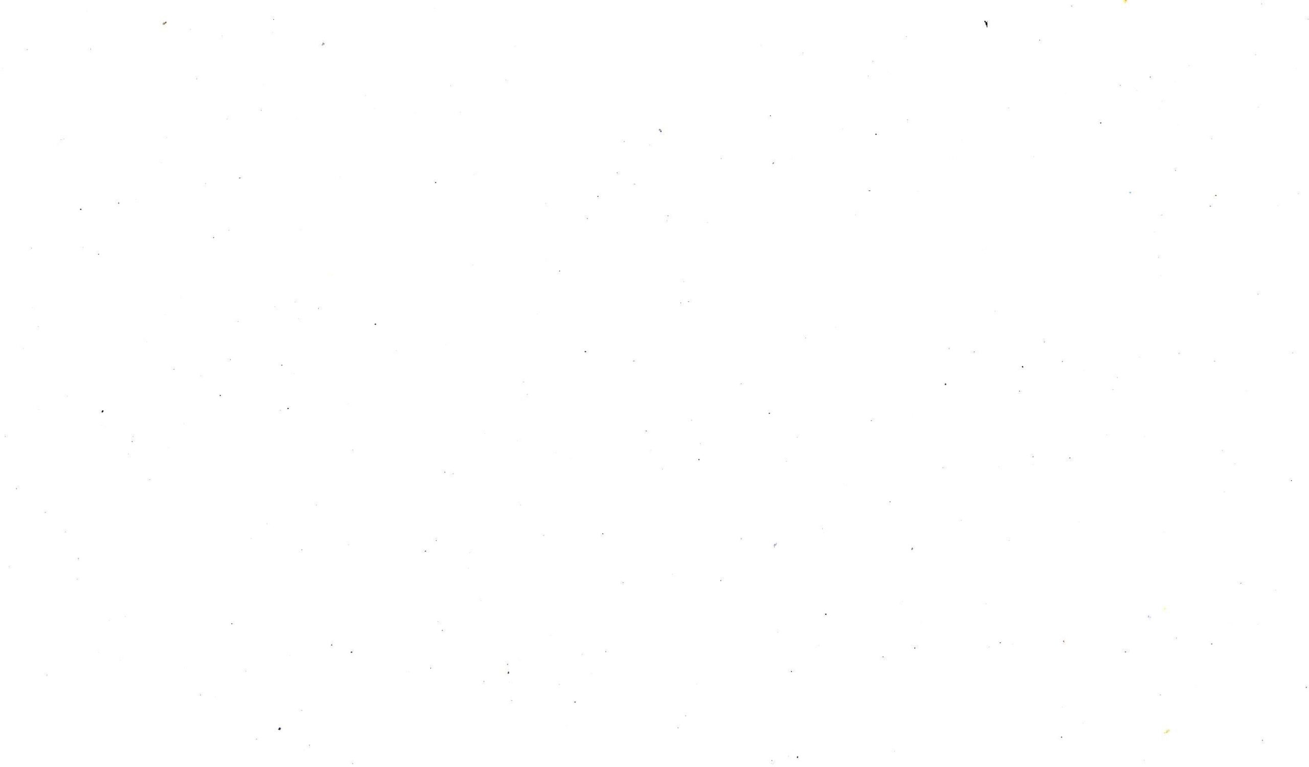 Weisser-Hintergrund-scaled-2